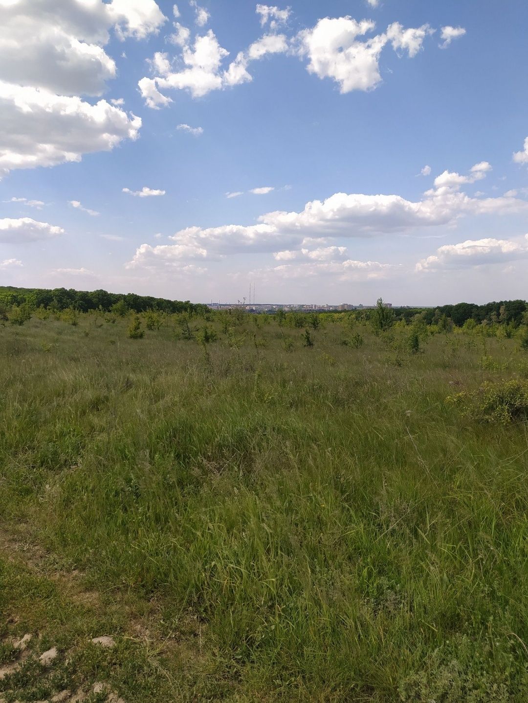 Продаж земельної ділянки Старе Місто