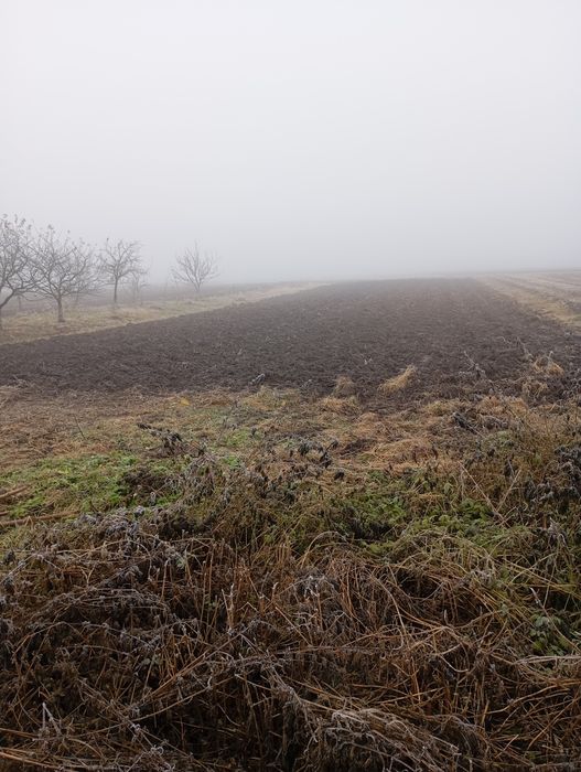 Продається будинок с.Биличі, Самбірський район, Львівська область.