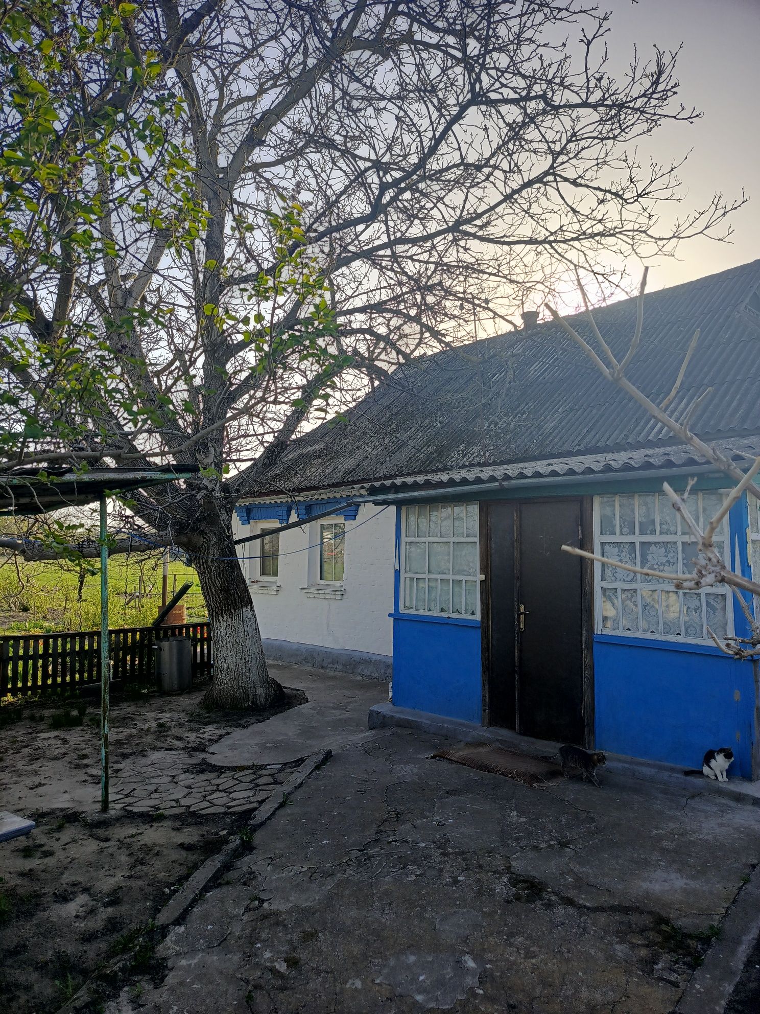 Продається будинок в селі