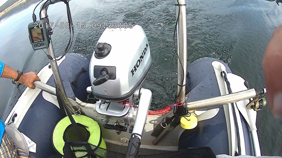 Embarcação de recreio Honwave T32 IE + motor Honda BF6