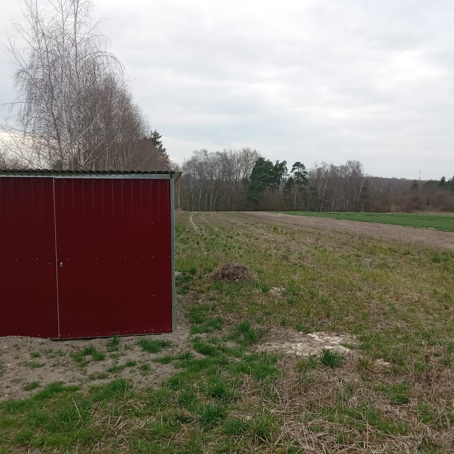 Działka 45a z projektem domu