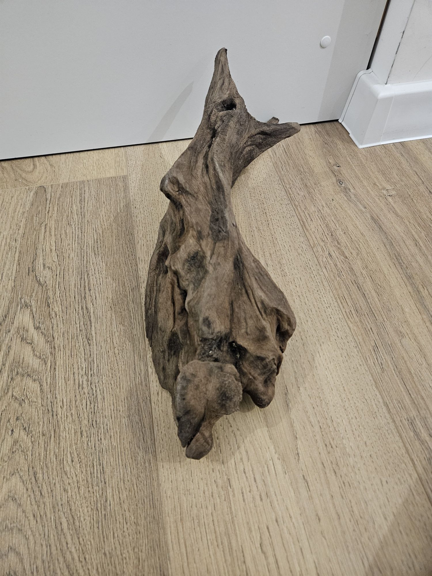 Korzeń do akwarium 45 cm