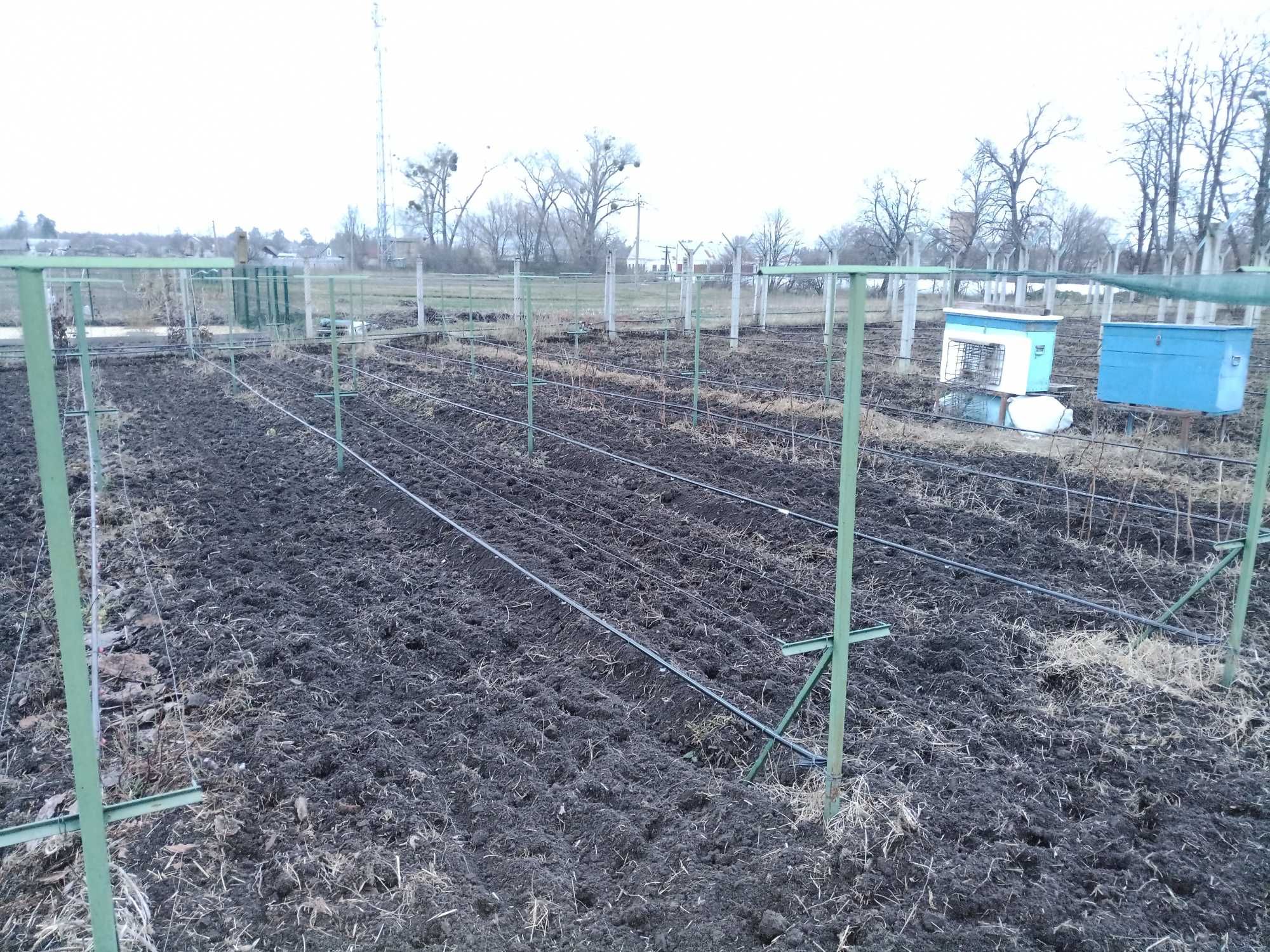 КУЛЬТИВАЦІЯ, послуги по обробці ділянок мото блоком. Фрезування.