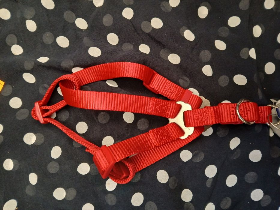 Szelki dla psa trixie S 40-50cm