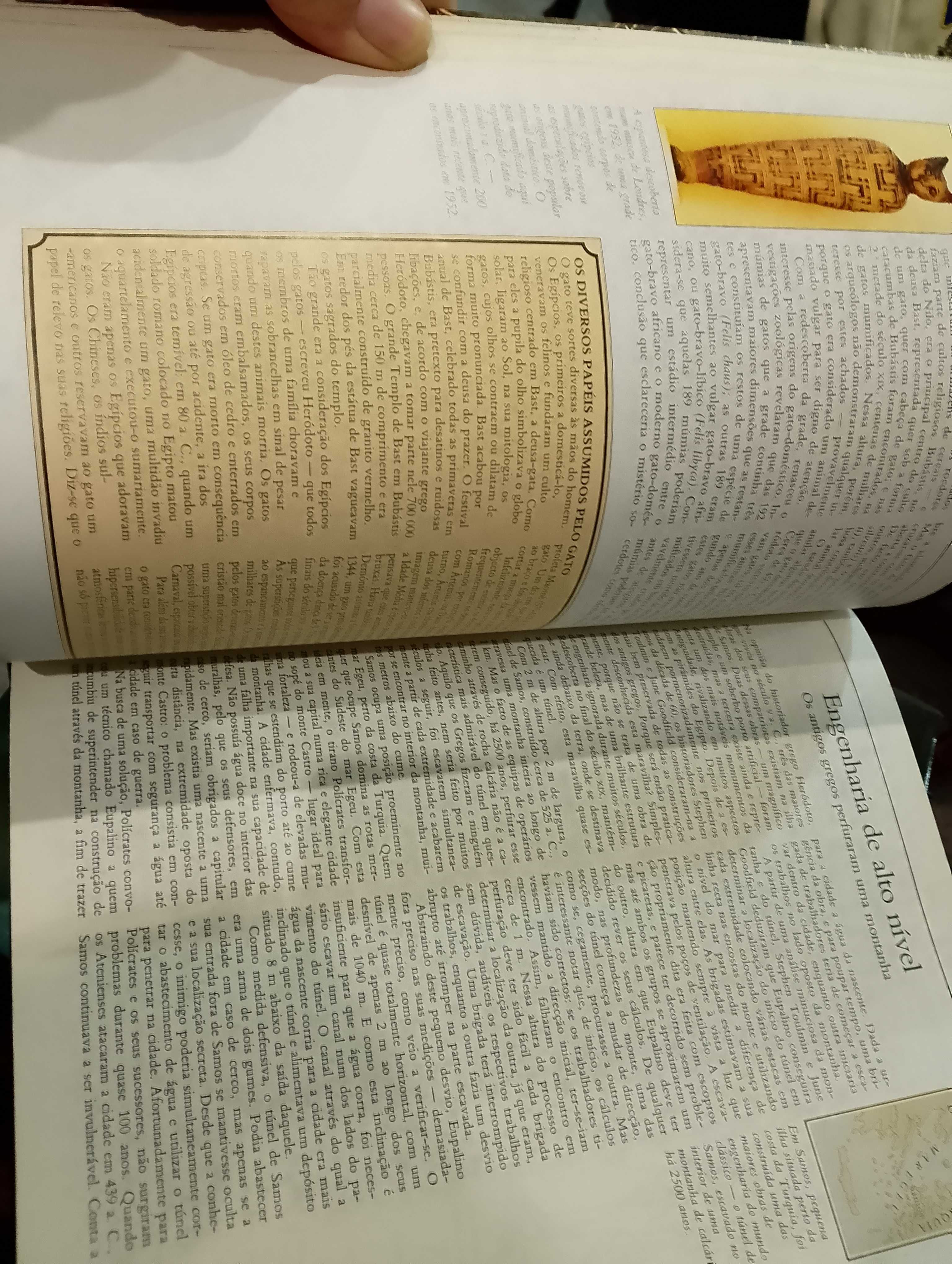 Ao encontro do passado - Selecções do Reader's Digest