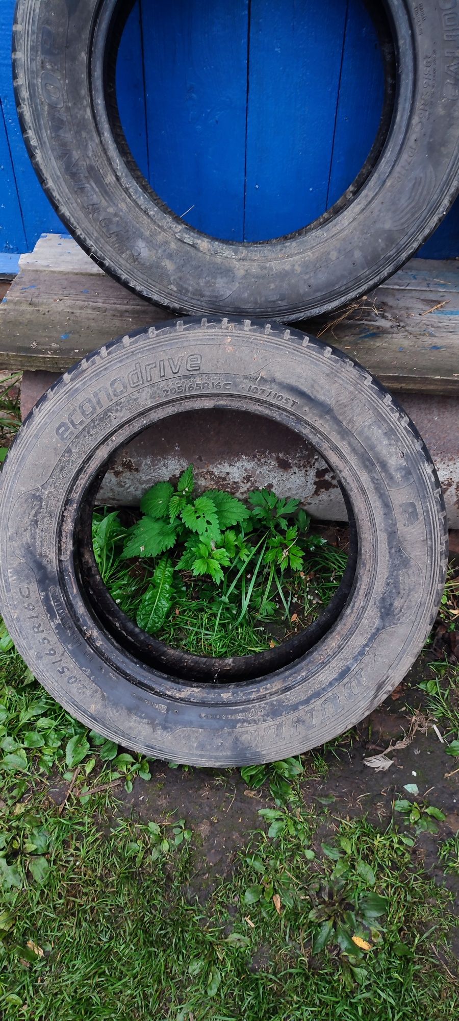 Шини літні Dunlop Econodrive 205/65/R16C