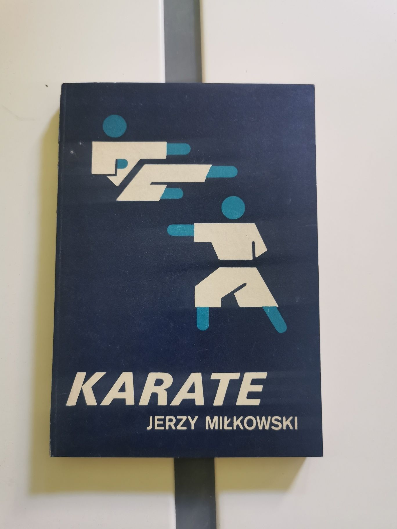 P10. Karate Jerzy Miłkowski