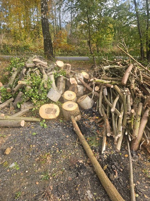 Drewno opałowe dąb orzech świerk wierzba