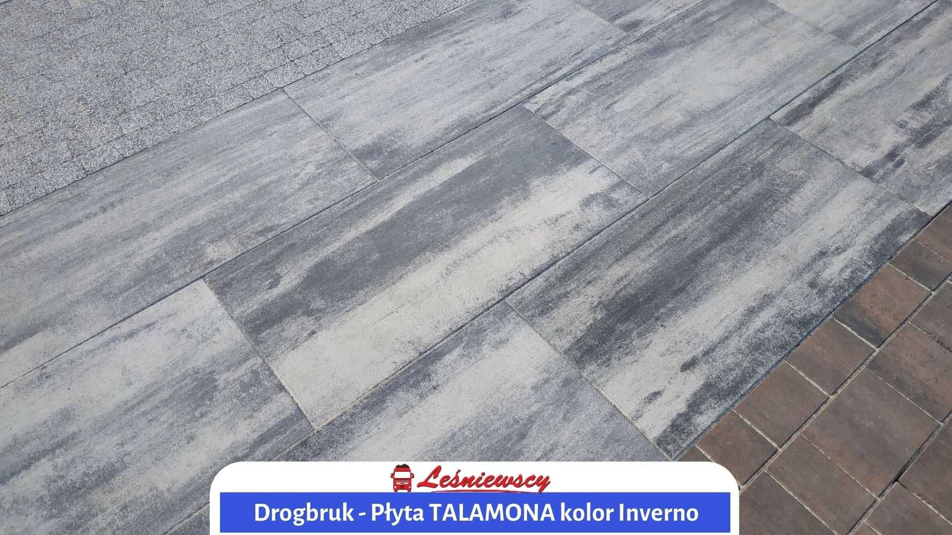 Płyta betonowa Talamona Inverno 100x50x6 DROGBRUK KURIER