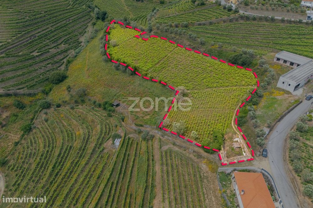 Terreno com 9.375 m² em Santa Marta de Penaguião
