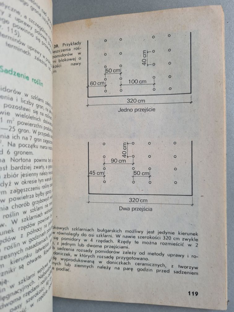 Szklarniowa uprawa warzyw - J. Dobrzańska