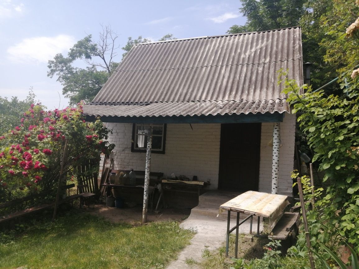 Продам дім смт Шишаки