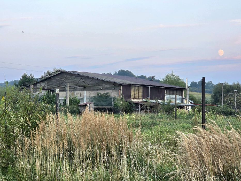 Продаж готового бізнес-об'єкта з озером у с. Великі Глібовичі