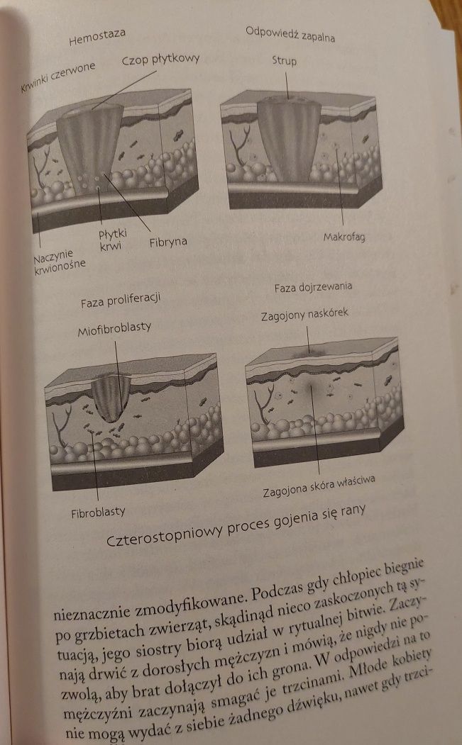 Niezwykłe życie skóry