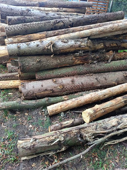 Drewno opałowe iglaste- świerk.