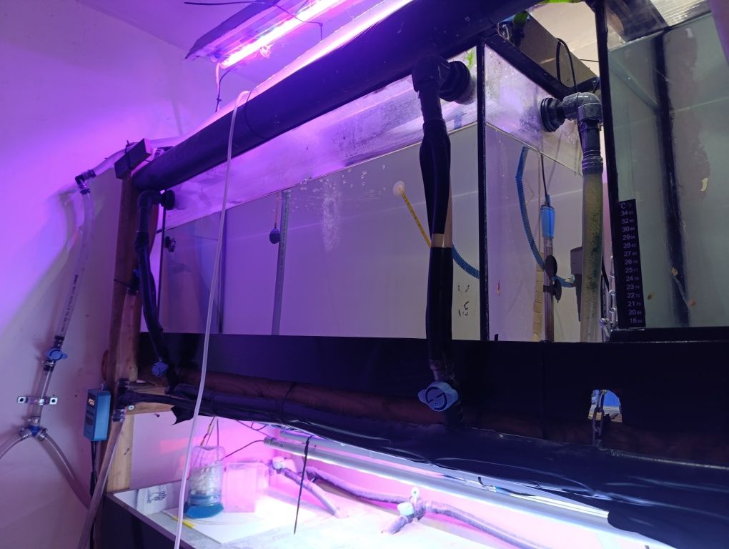 Aquários e material de aquariofilia