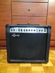 Wzmacniacz gitarowy Ever Play EVG 30R