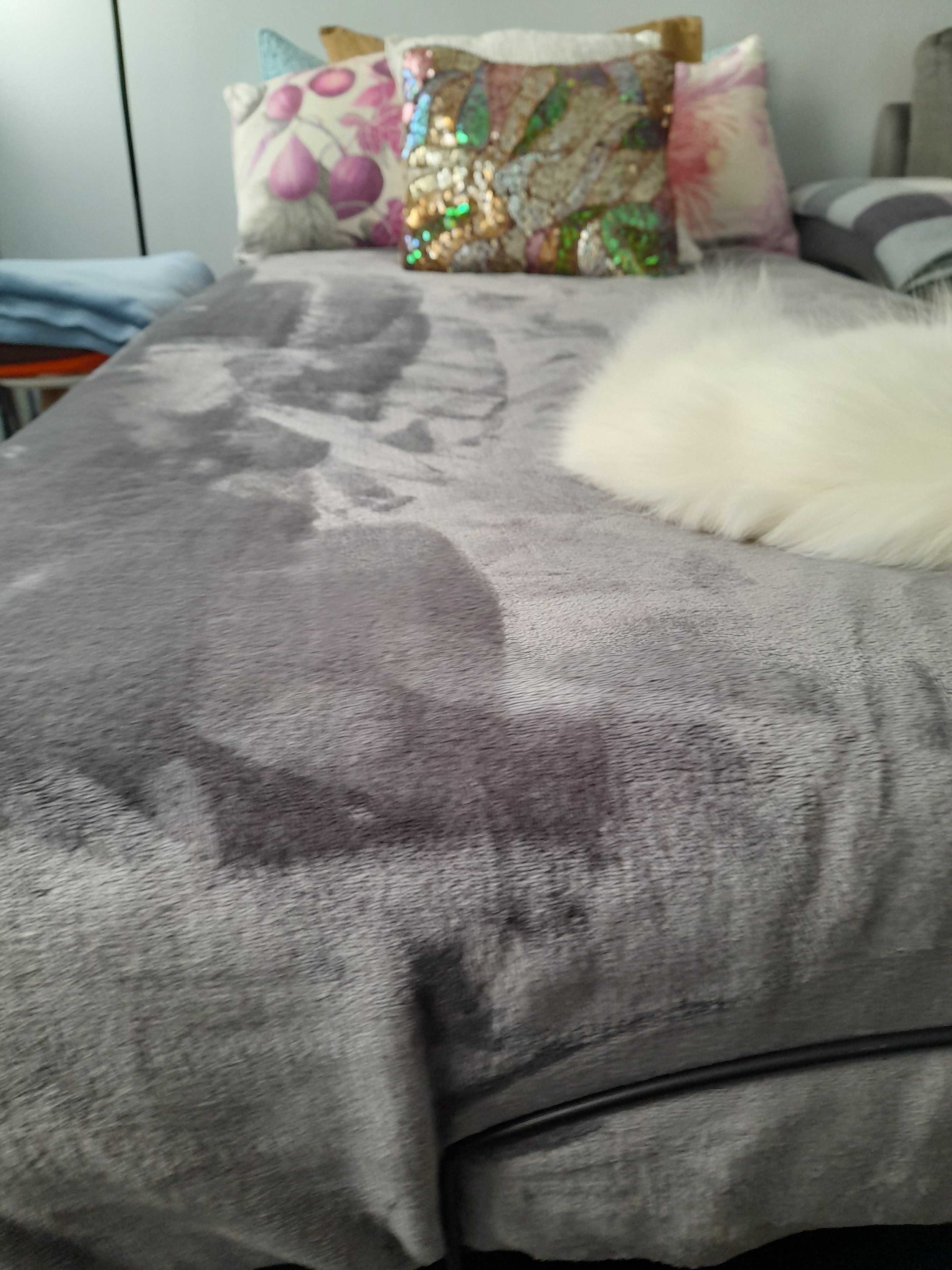 Cama articulada com colchão anti-escaras