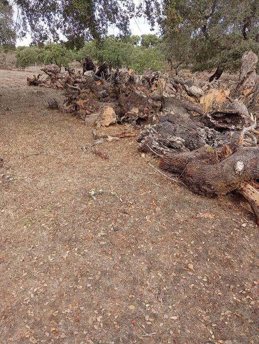 Lenha de sapatas para venda