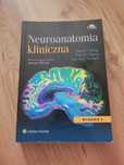 Neuroanatomia kliniczna, Young, Moryś