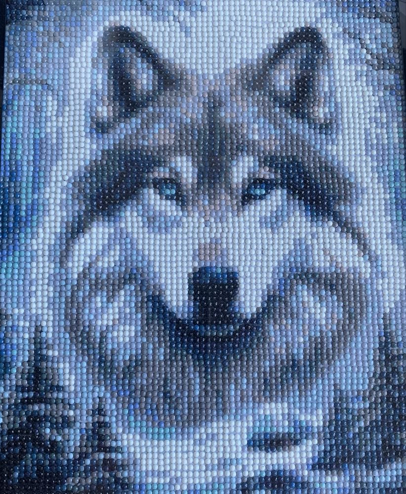 Pinturas de quandros 3D com fotos , emblemas ,animais de estimacao etc