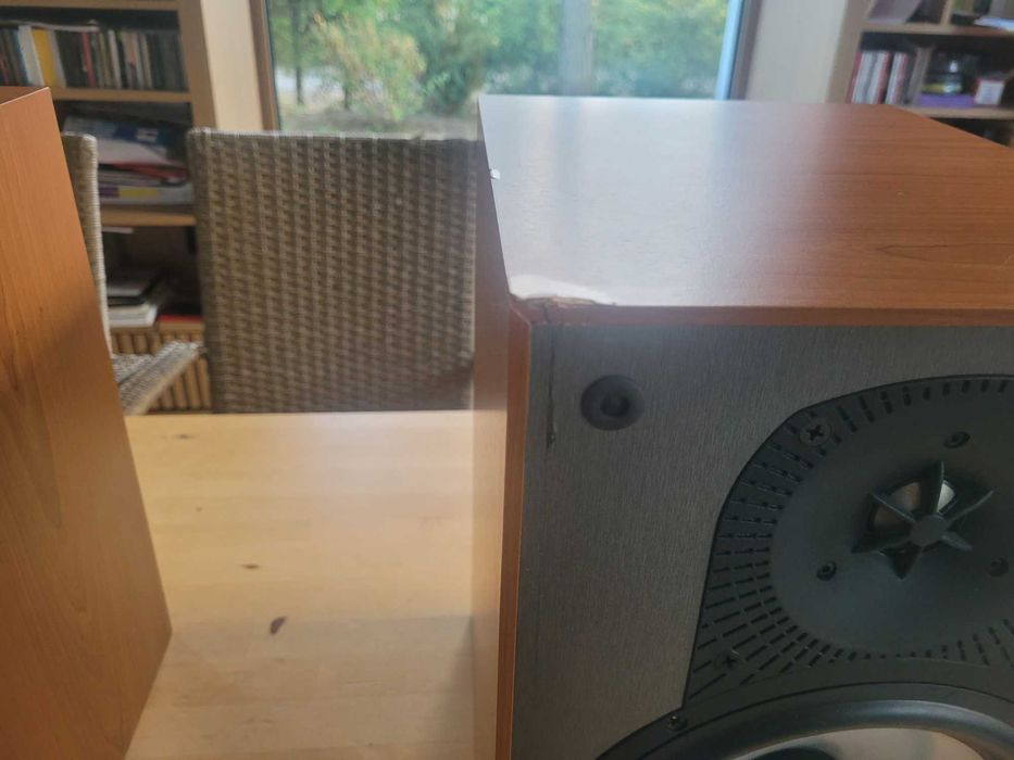 Paradigm Monitor 3v4