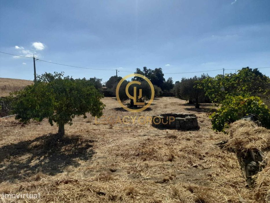 Terreno com árvores de fruto e dois poços em São Pedro de Solis – M...
