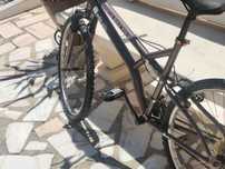 Bicicleta adulto