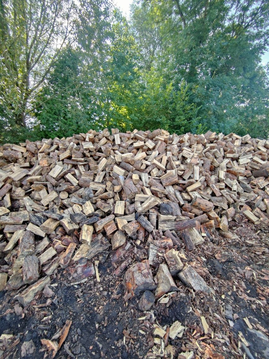 Drewno liściaste sezonowane