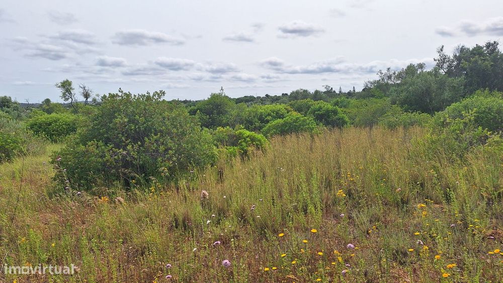 Terreno, Cartaxo e Vale da Pinta