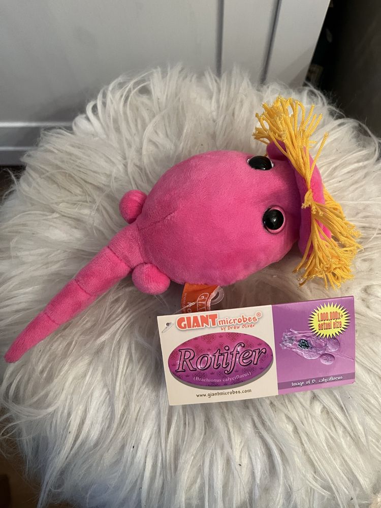 Giant microbes wielki mikrob  Nowy