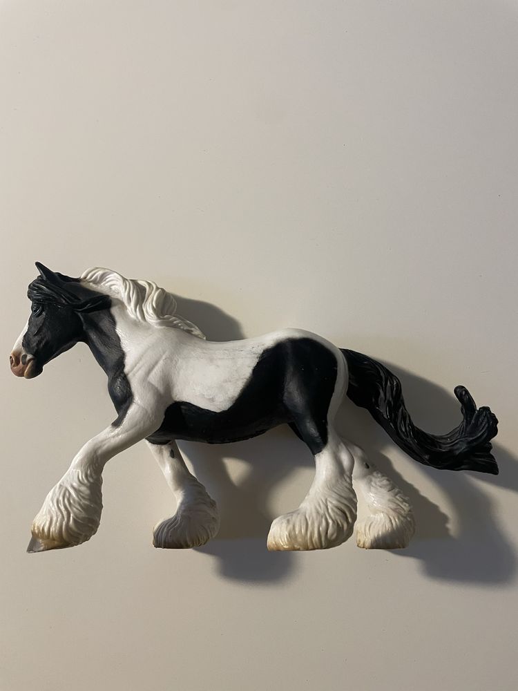Klacz gypsy collecta