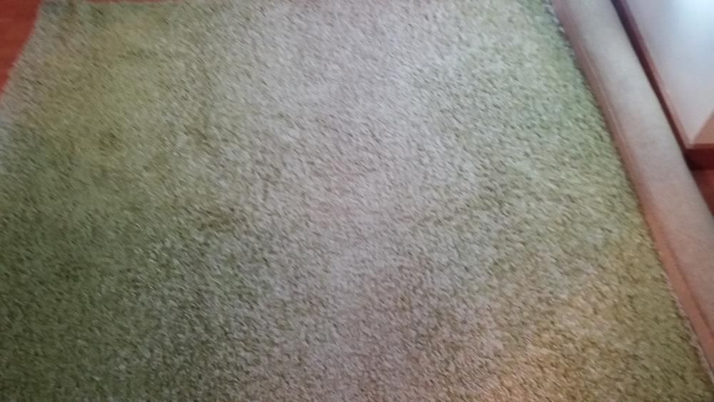 Carpete Pelo Curto Verde-Bege Degradê