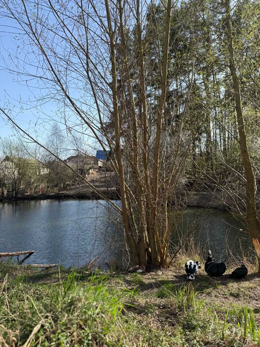 Продам котедж 480м  с.Шпитьки 17 км по Житом. трасі 15с.біля озера