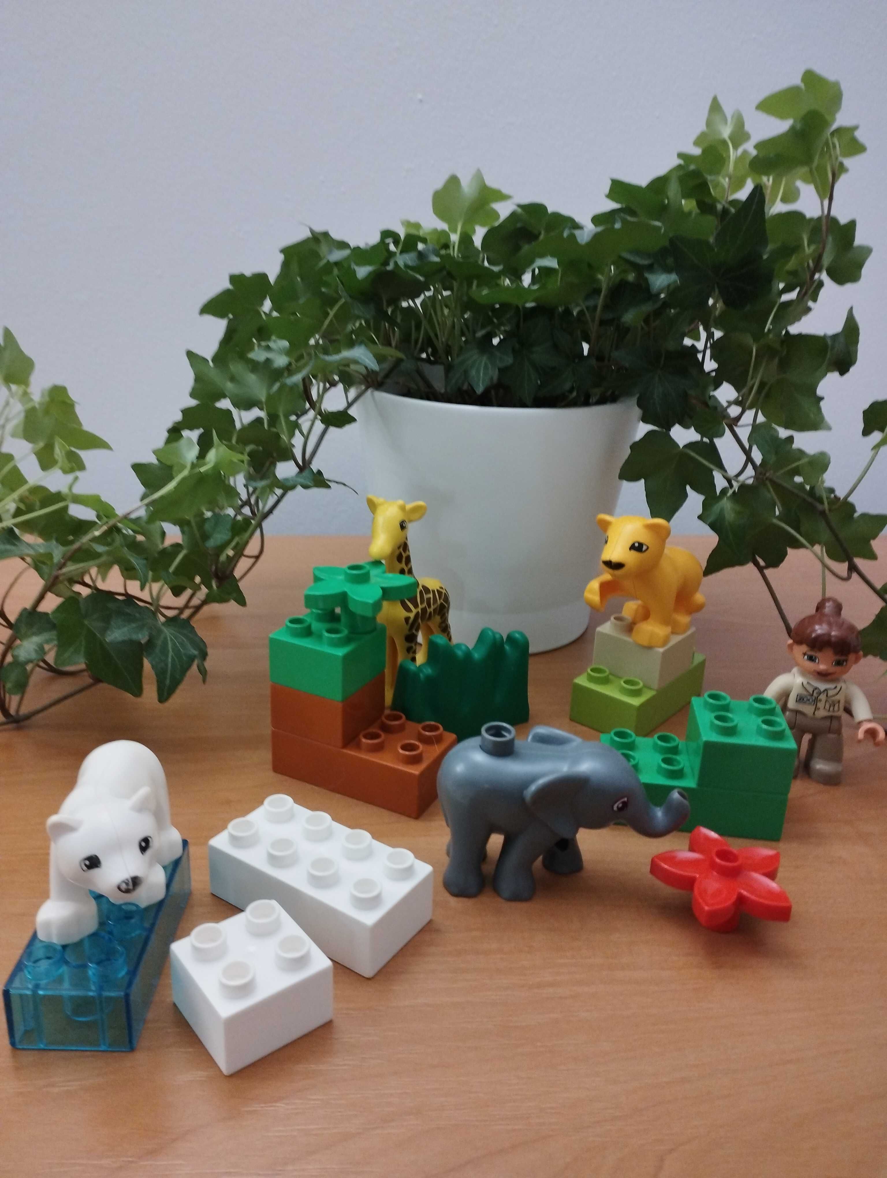 Klocki LEGO Duplo zestaw Mini zoo