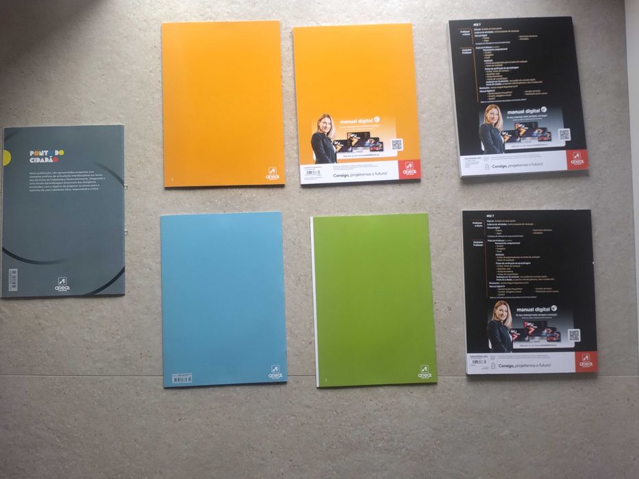 Manual do professor MSI 7