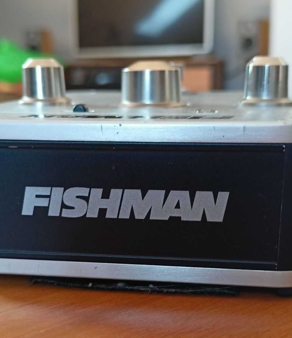 Fishman Aura Acoustic Imaging Dreadnought