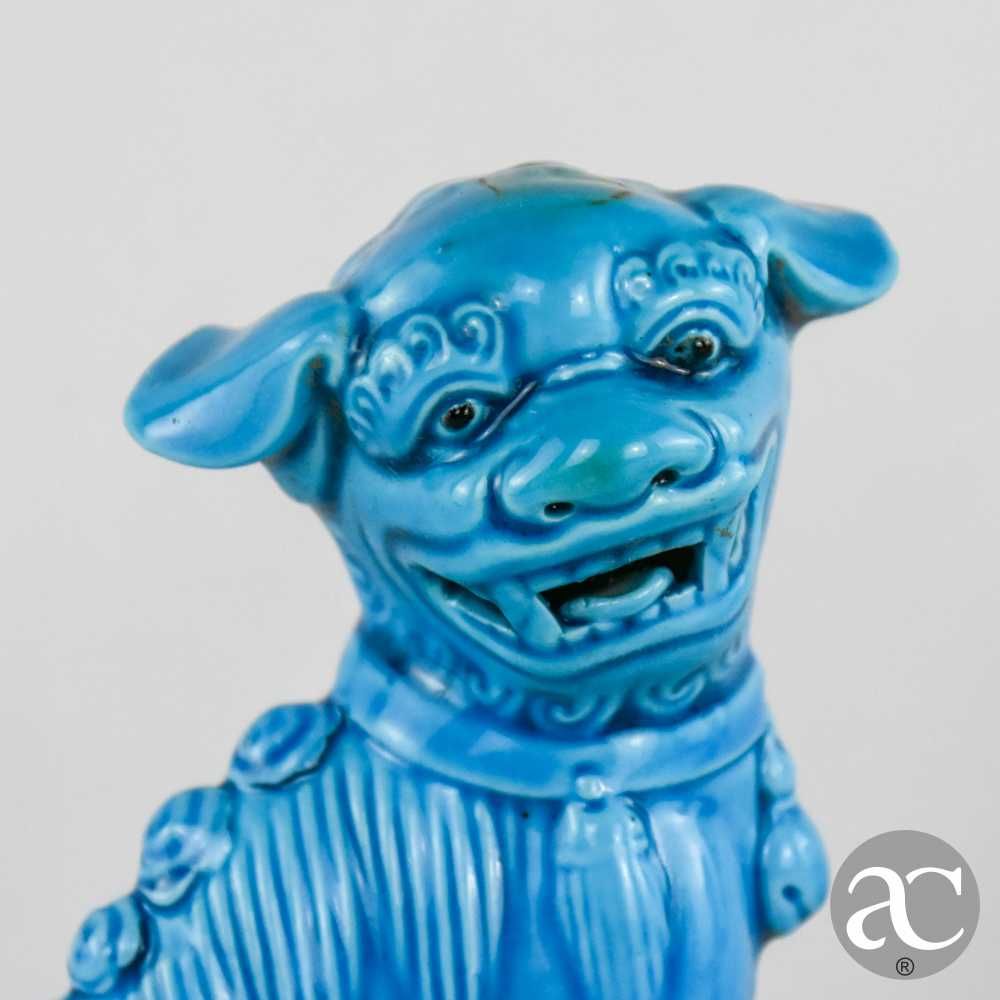 Par de Cães de Foo, porcelana da China, azul-turquesa n2