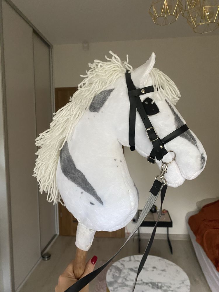 Śliczny hobby horse