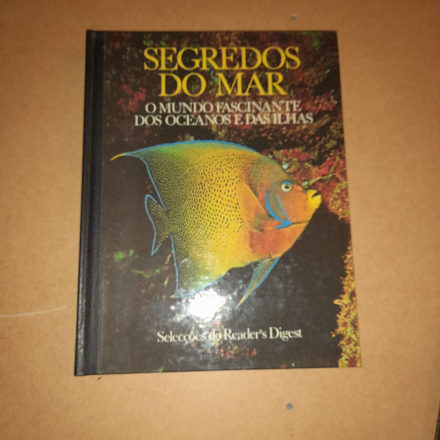 Grandes livros excelentes obras