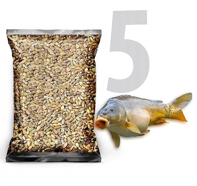 5kg Pęczak kasza jęczmienna ziarno zanęta przynęta wędkarska karaś