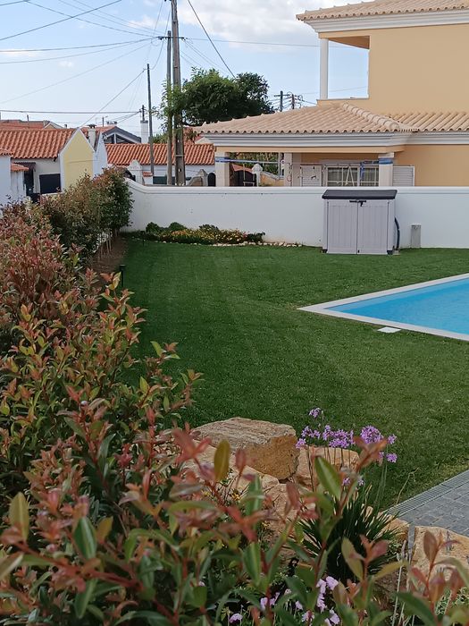 Disponível jardineiro particular para cuidar do seu espaço