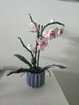 Lego Orchid - Botanical Collection