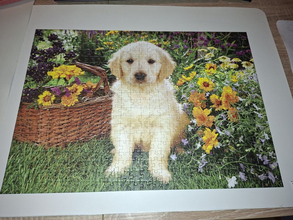 Puzzle, 500 elementów, kompletne, Trefl, pies, piesek