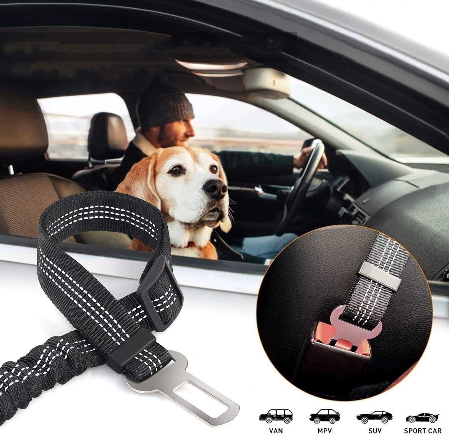 Smycz Pas Bezpieczeństwa Do Samochodu Dla Psa Kota