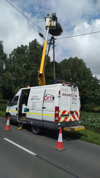 Podnośnik Koszowy zwyżka -  usługi wycinka drzew Wągrowiec  i okolice