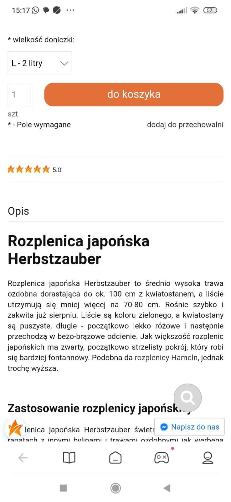 Rozplenica japońska Herbstzauber