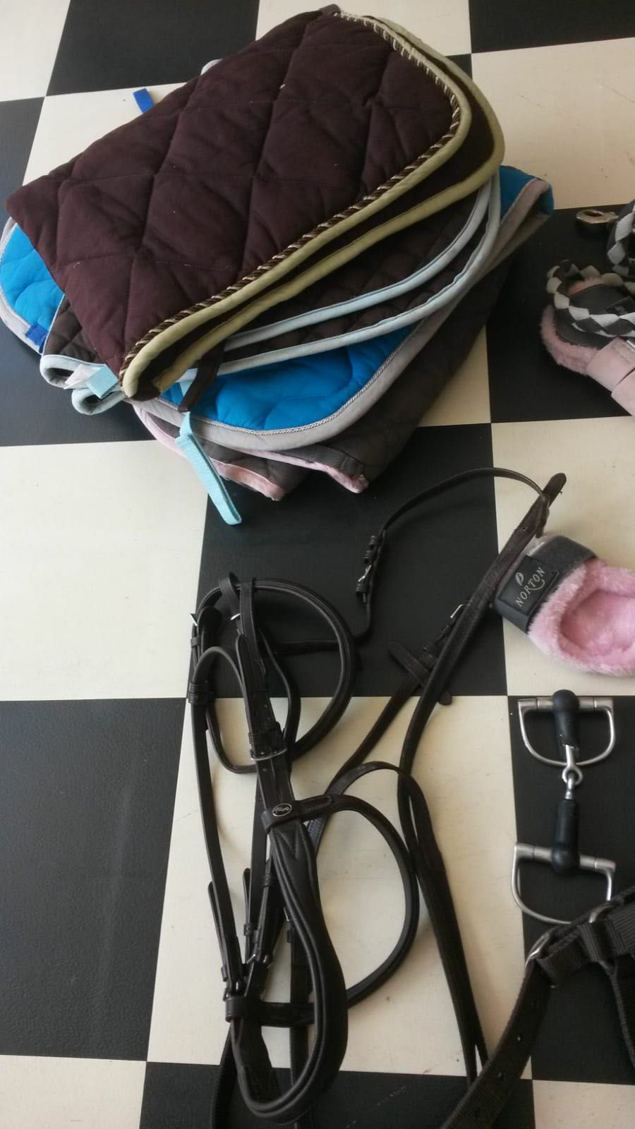 Material equitação aluna / horse riding accesories