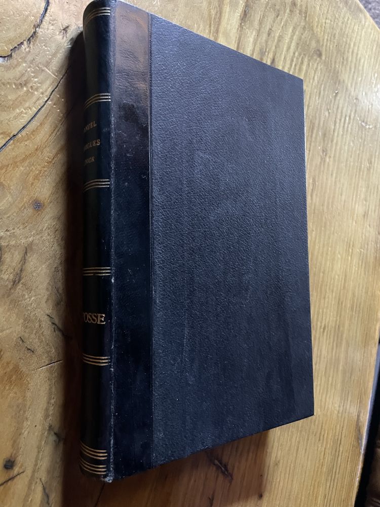 Livro A Pose Estudo de Direito Civil  Manuel Rodrigues Júnior
