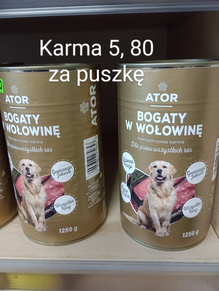 Karma dla psów i kotów